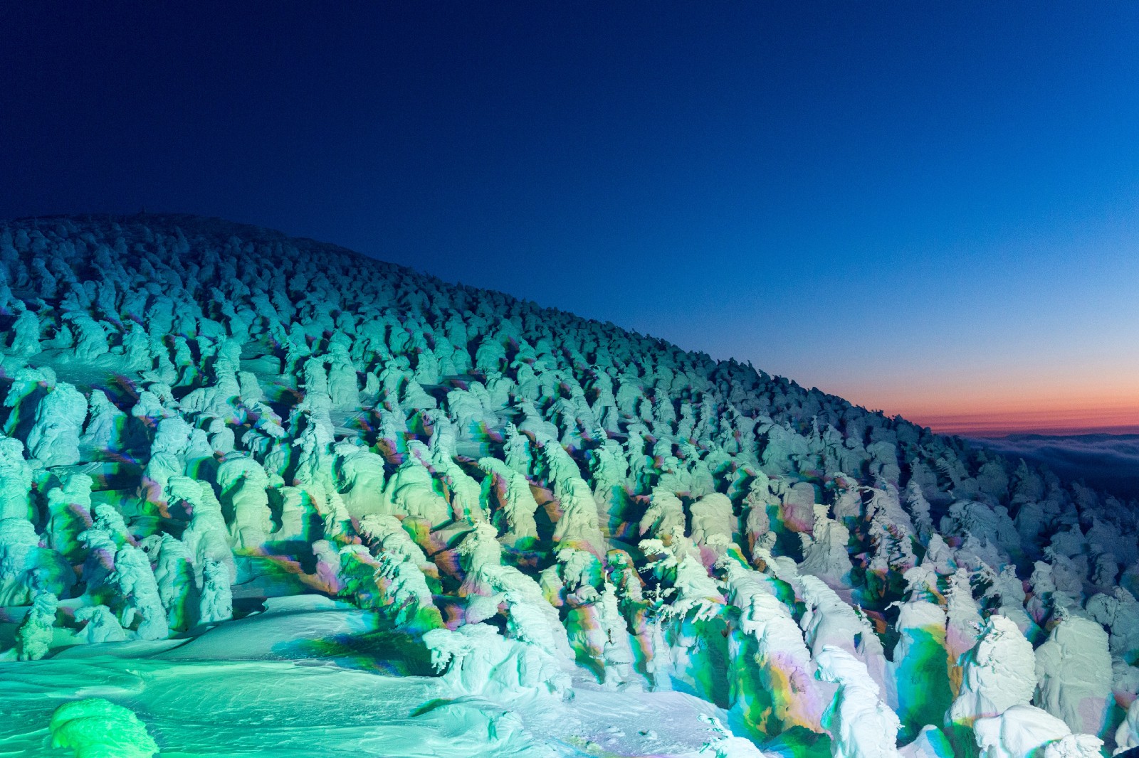 Illuminated snow monsters in Zao