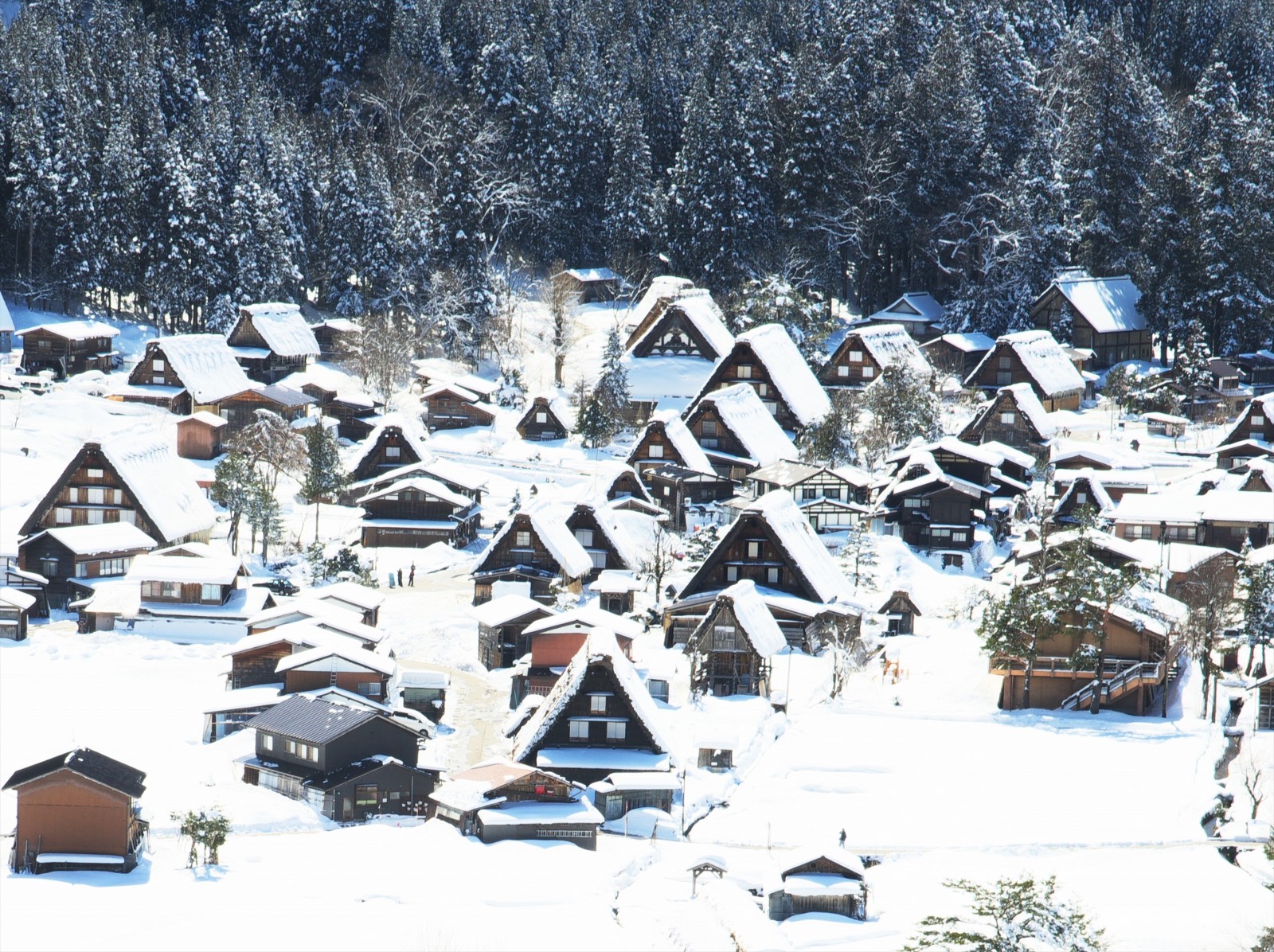 The picturesque scenery of SHirakawago Village in winter