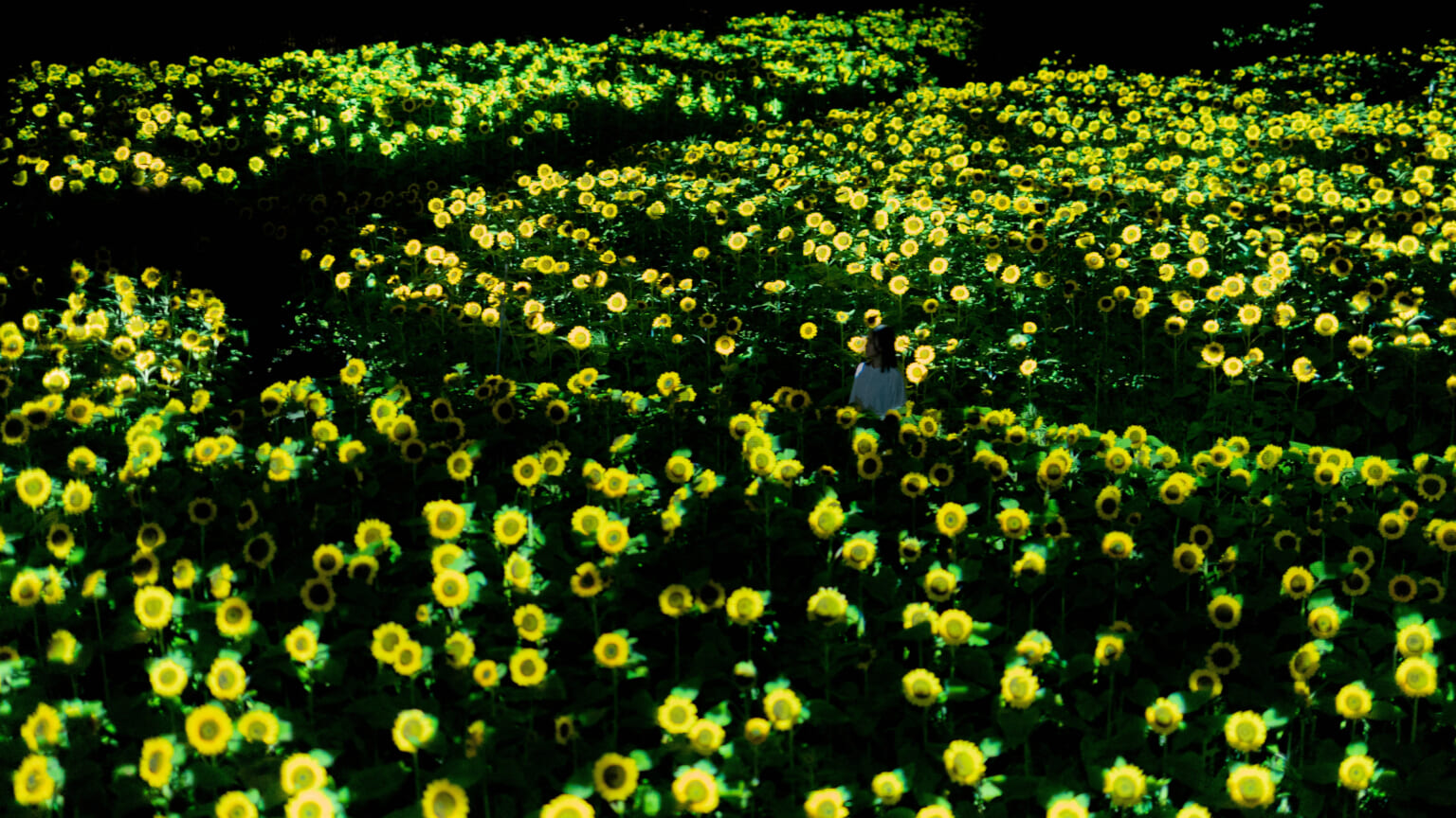 Teamlab Botanical Garden Osakas Summer Night Event Japan Web