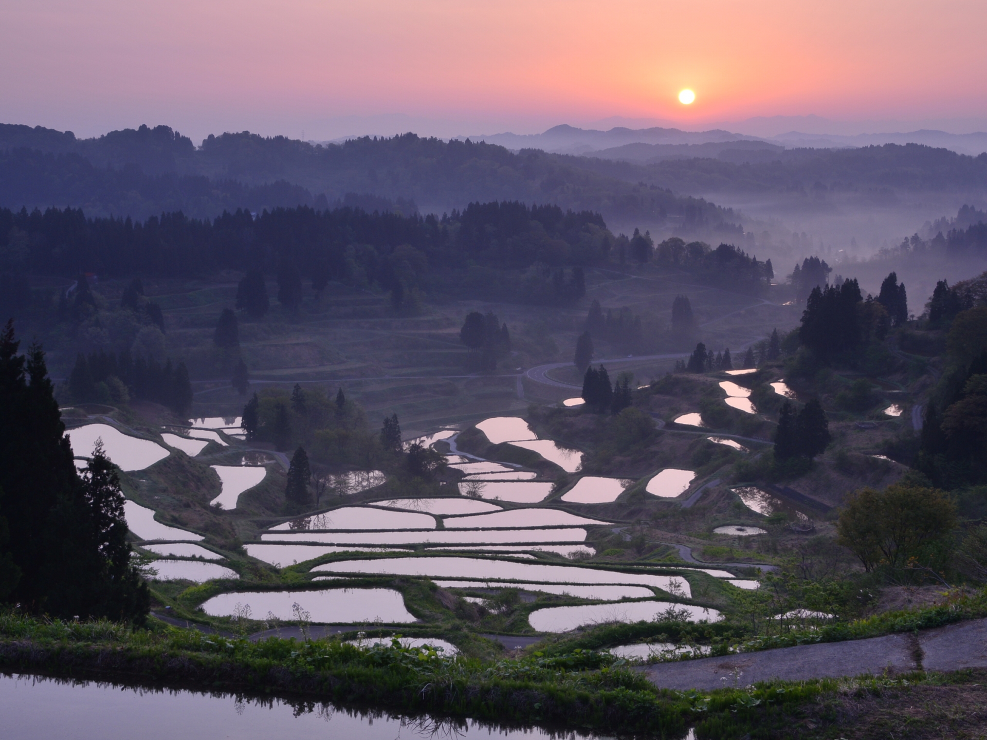 5 Most Beautiful Rice Field Terraces In Japan Japan Web Magazine