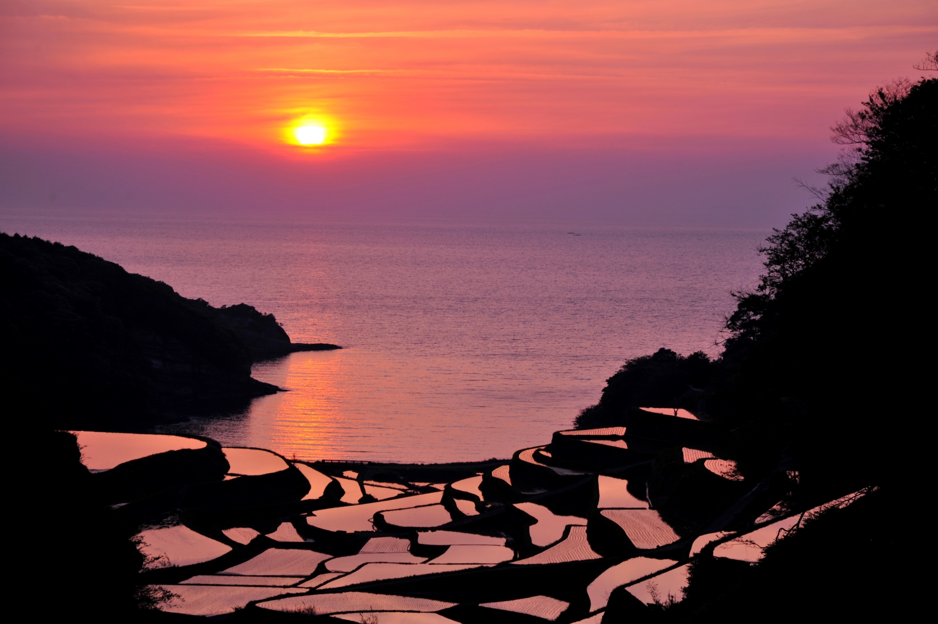 5 Most Beautiful Rice Field Terraces In Japan Japan Web Magazine