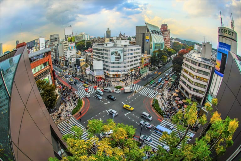 HARAJUKU and OMOTESANDO Shopping Guide