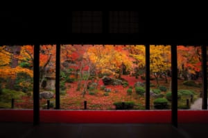 Enkoji Temple: The Best Hidden Temple in Kyoto