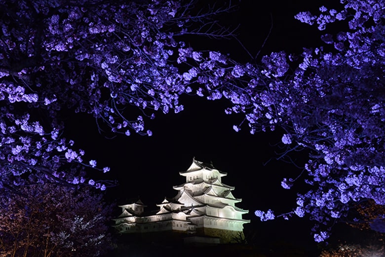 Night Himeji