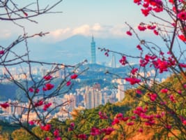 Why You should Visit Taiwan along Your Trip to Japan