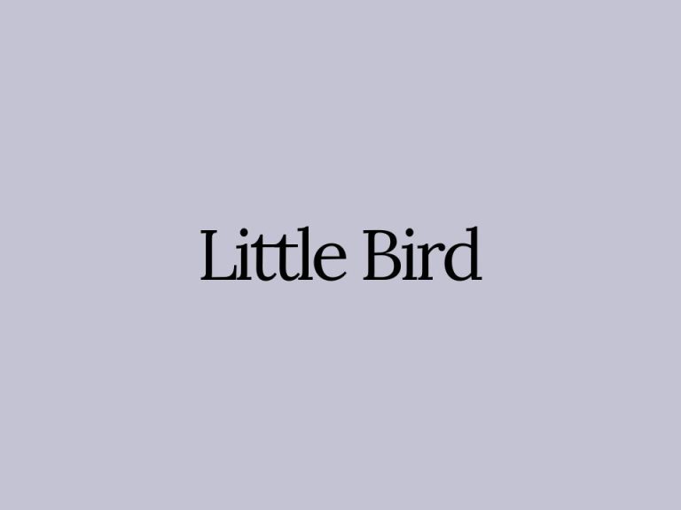 Gluten Free Cafe Little Bird, Shibuya
