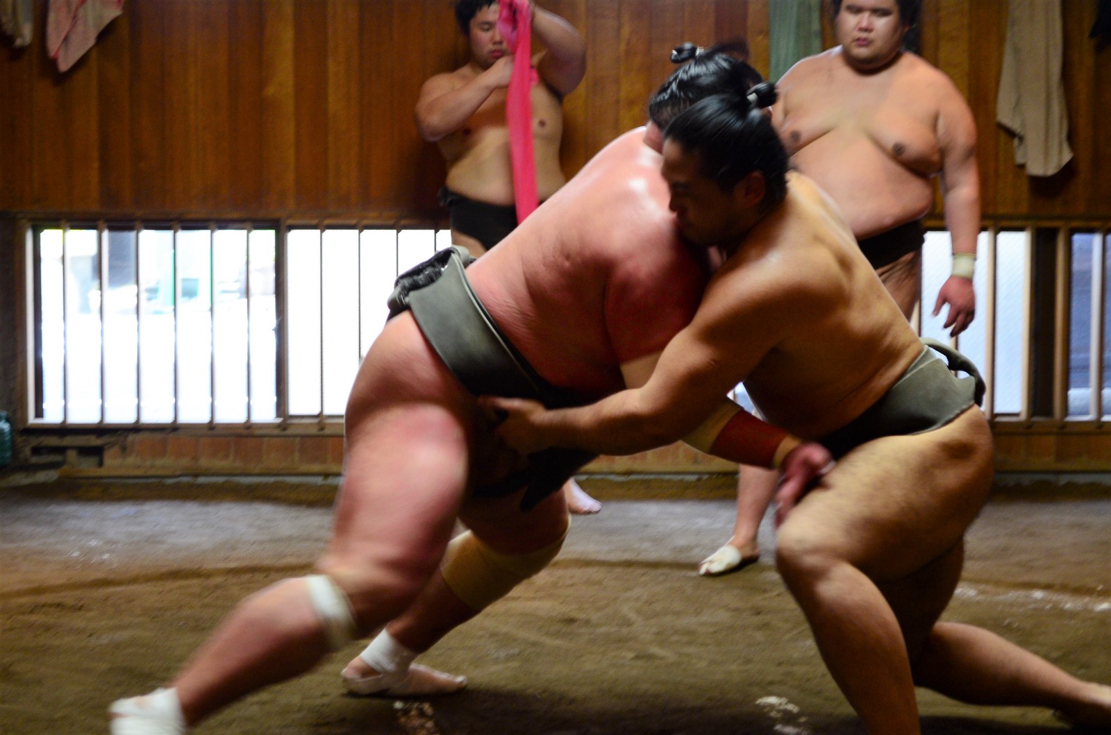 Sumo wrestlers