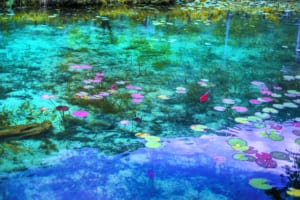 The Mystery Pond In Japan Looks Like Monet’s Paintings