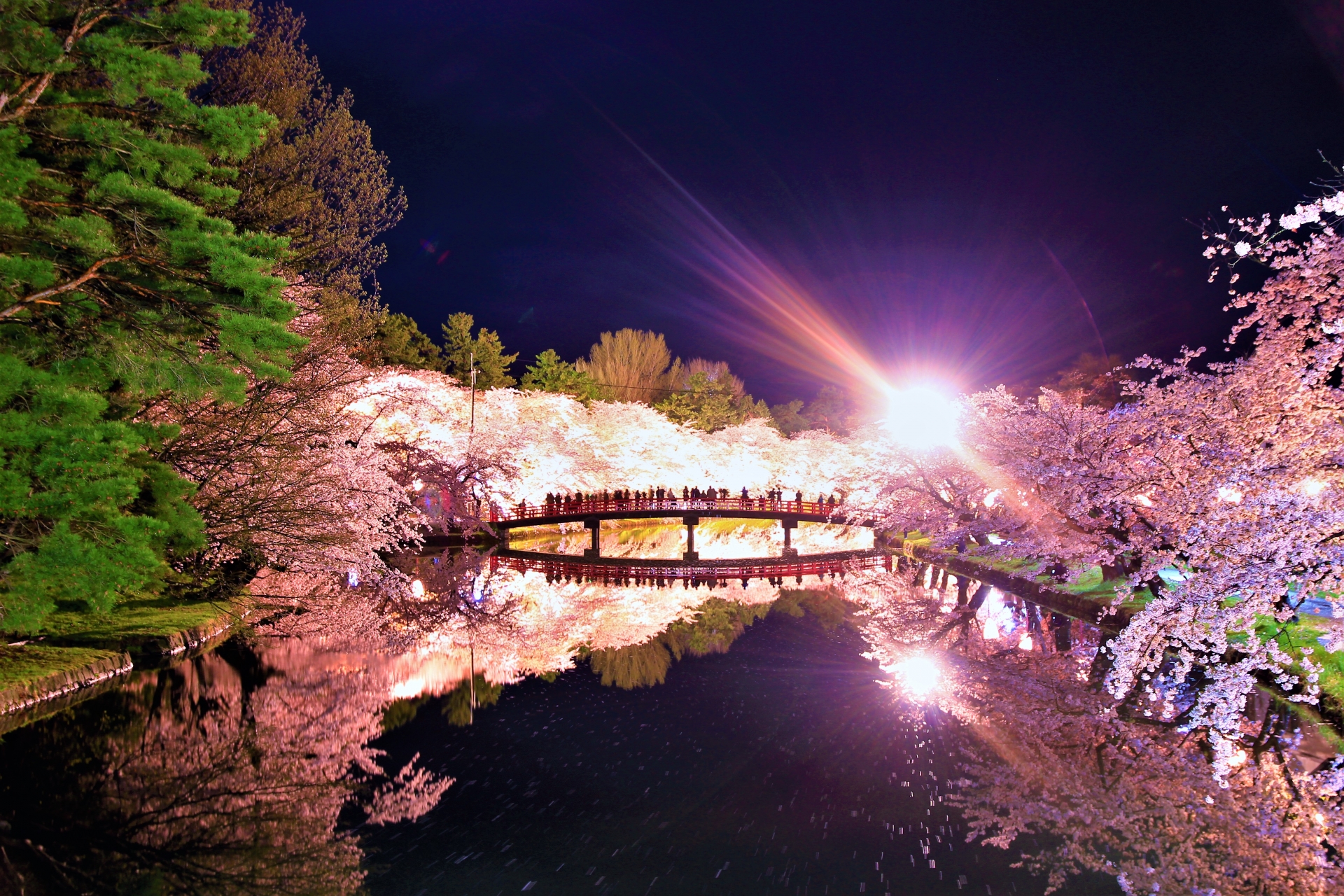 Best Places for Cherry Blossom Night Viewing in Japan - Japan Web Magazine