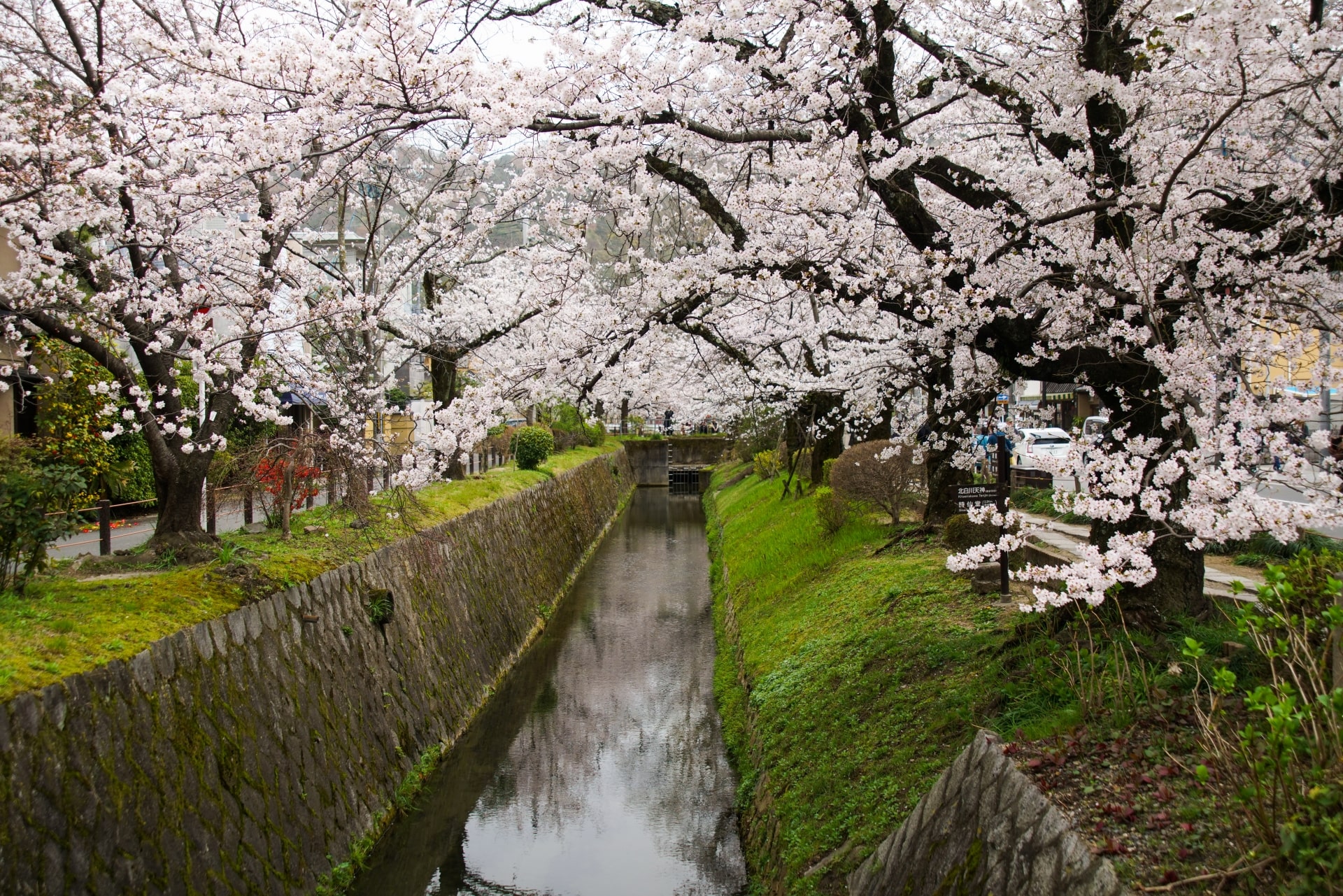 Philosopher's Path in Kyoto