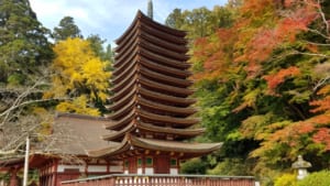 Tanzan Shrine: Hidden 13 Storied Pagoda in Nara