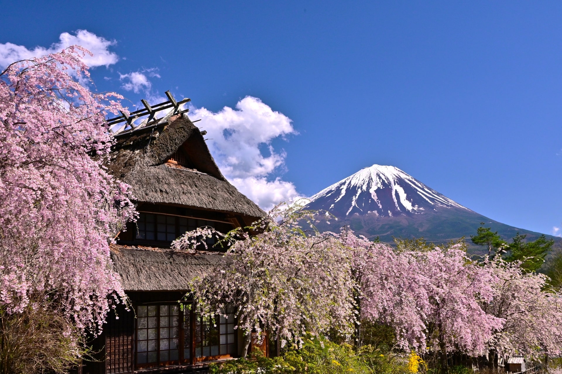 Saiko Iyashi no Sato Nenba