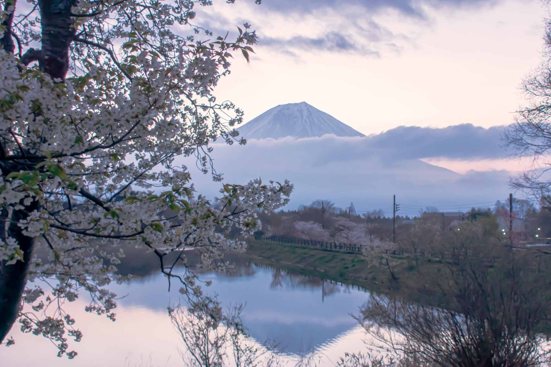 lake tanuki