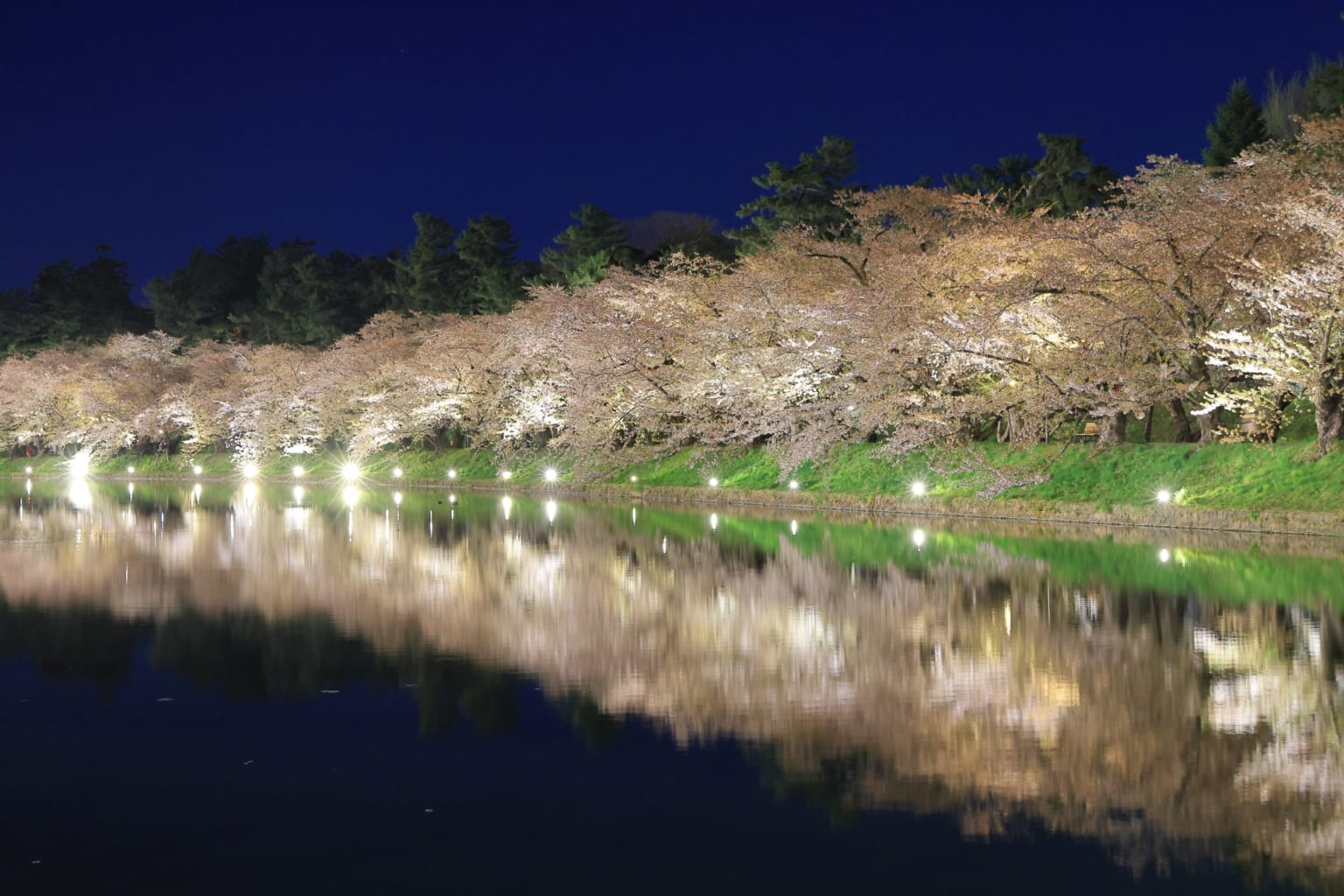 Best Places For Cherry Blossom Night Viewing In Japan - Japan Web Magazine