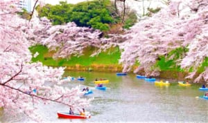 四月訪問日本的十大最佳活動