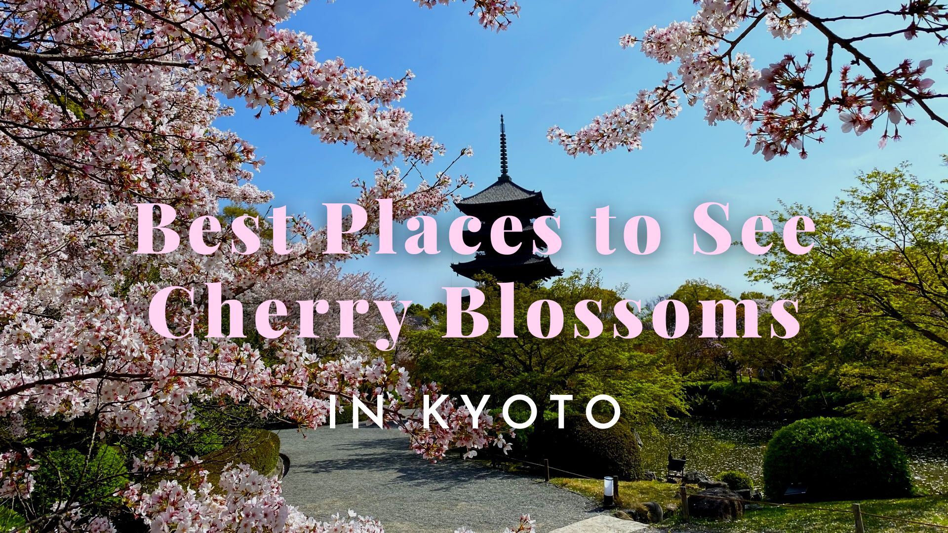 15 Best Places to See Cherry Blossoms in Kyoto