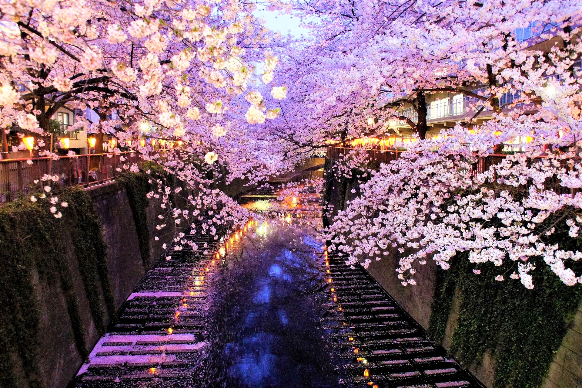 Top 10 Things to Do in Japan in April Japan Web Magazine