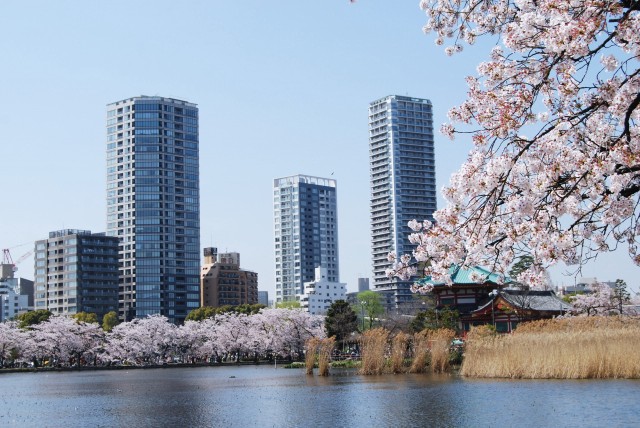 Ueno Park pond view