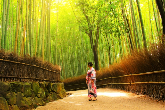 arashiyama bamboo grove visit