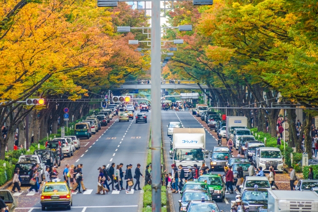 Omotesando in Autumn