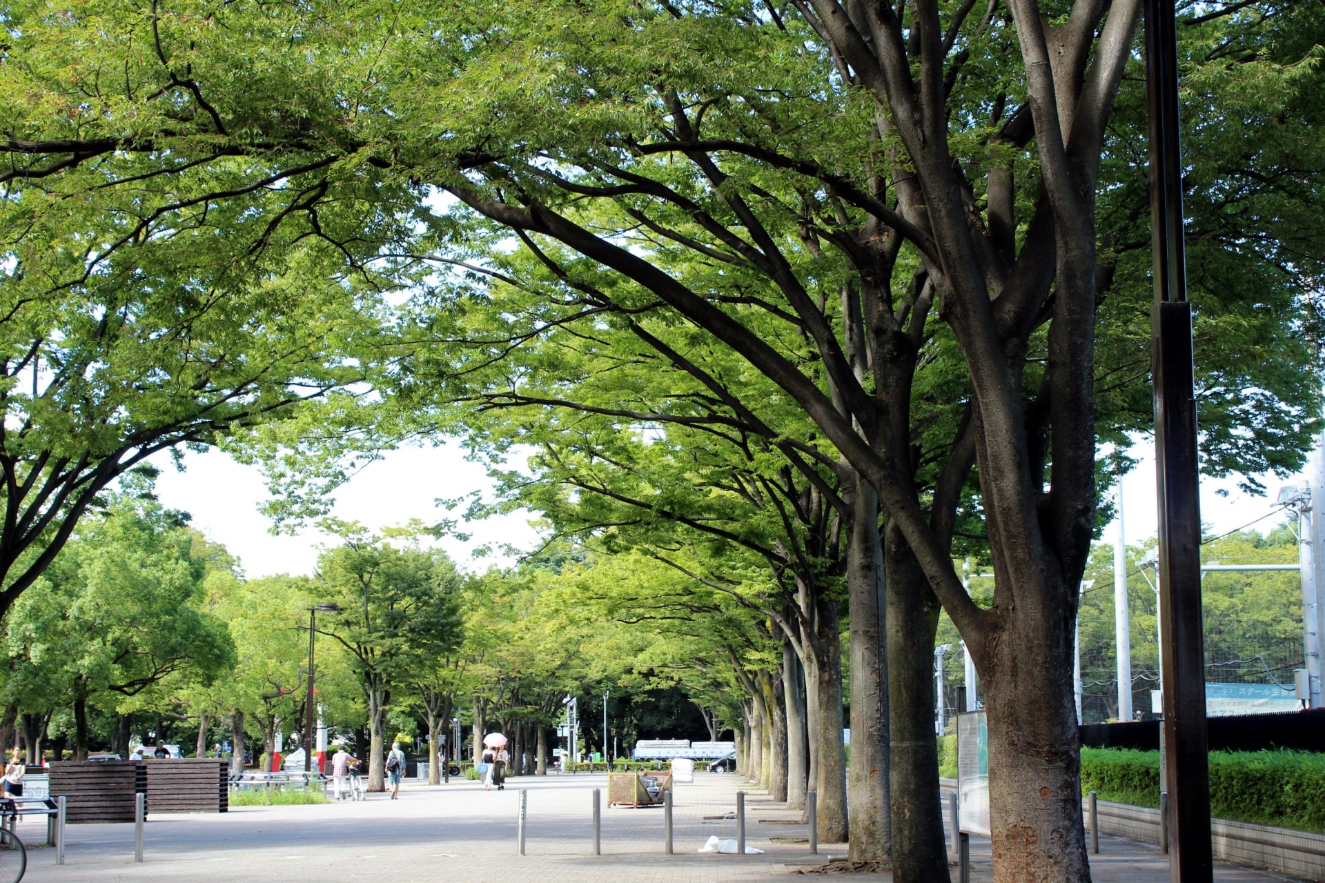 Yoyogi Park