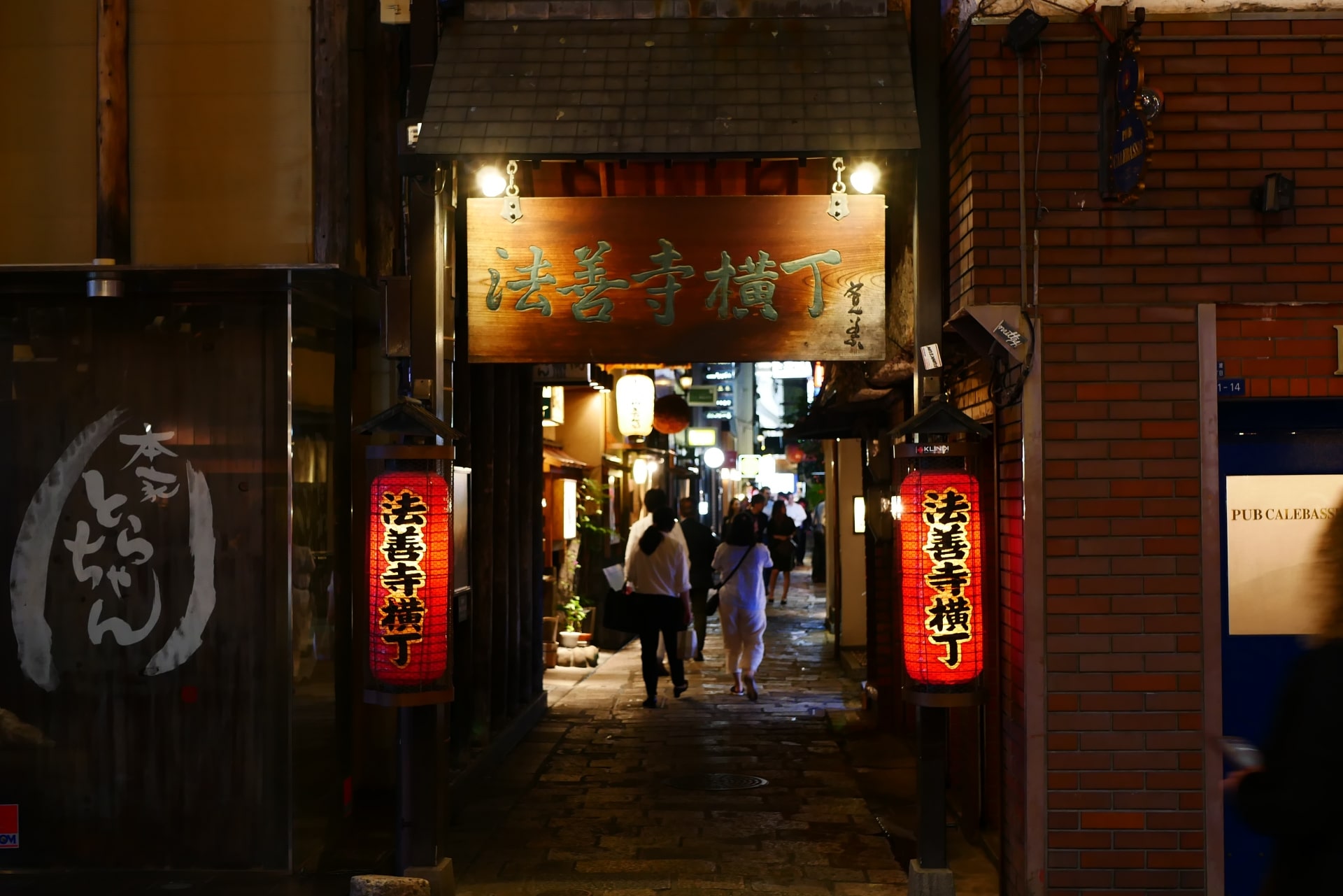 Hozenji-yokocho Alley