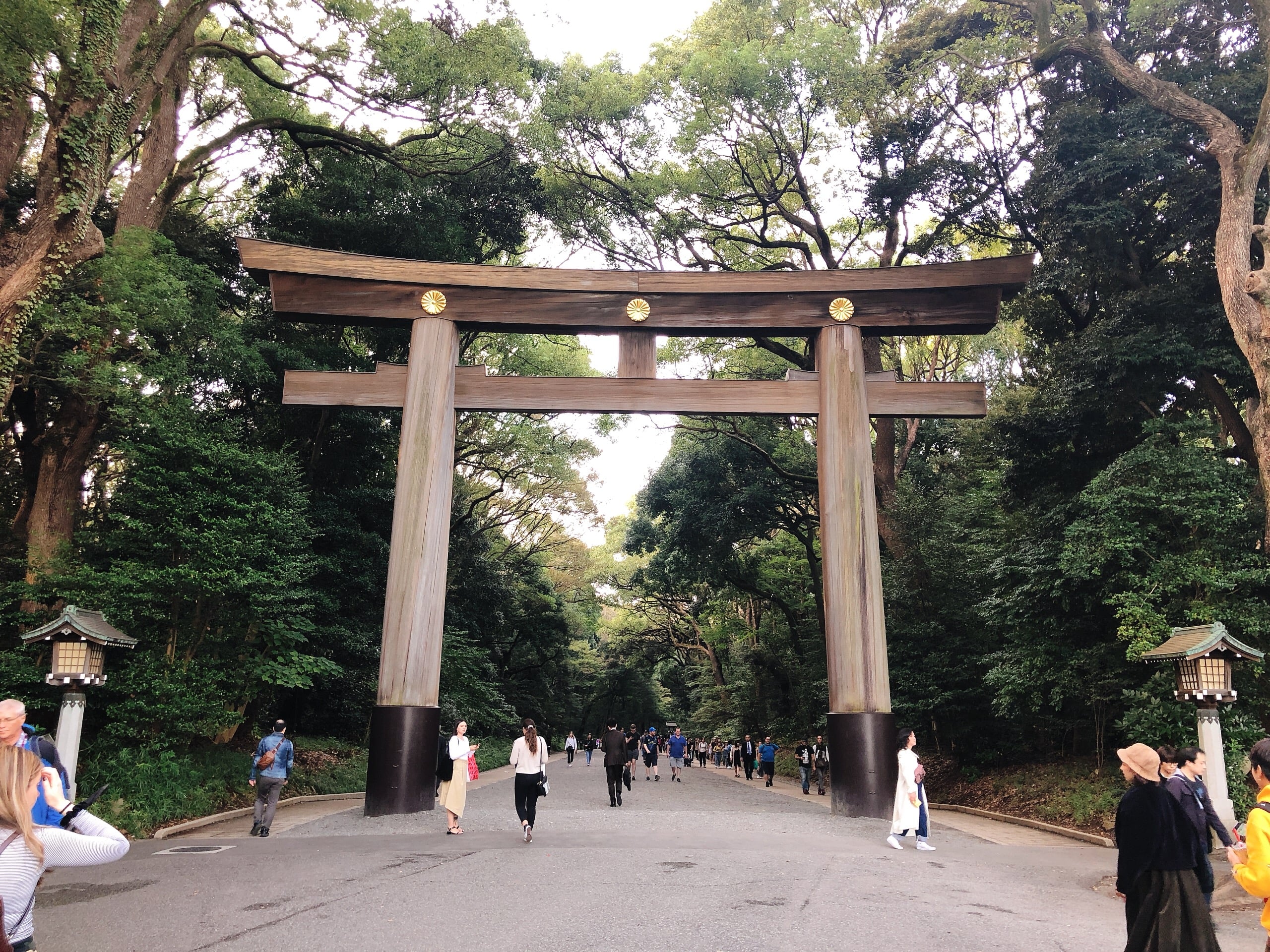 The torii gate of Meiji Shrine