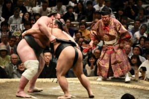 Sumo Wrestling: Things to Know