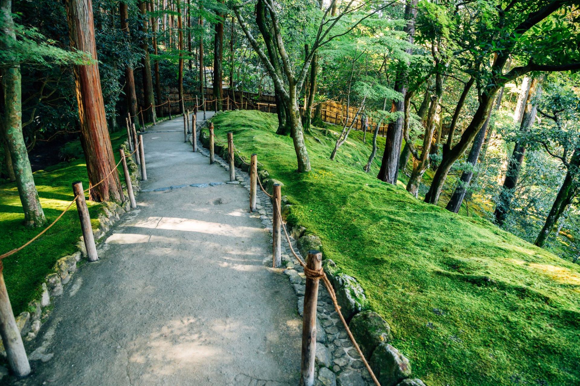 Scenic trail at Ginkakuji