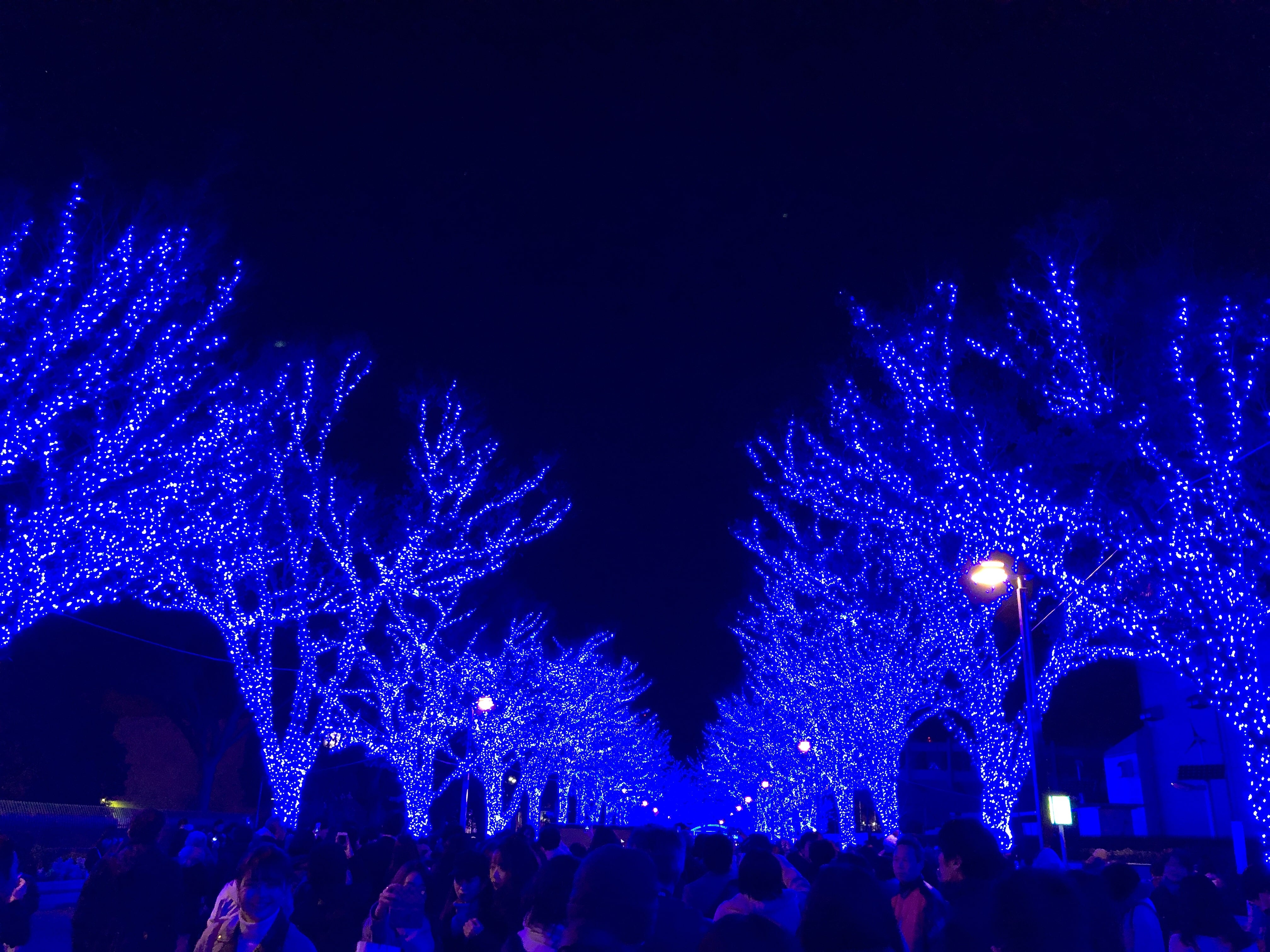 Blue illuminations at Shibuya Blue Cave