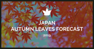 Japan Autumn Leaves Forecast 2019