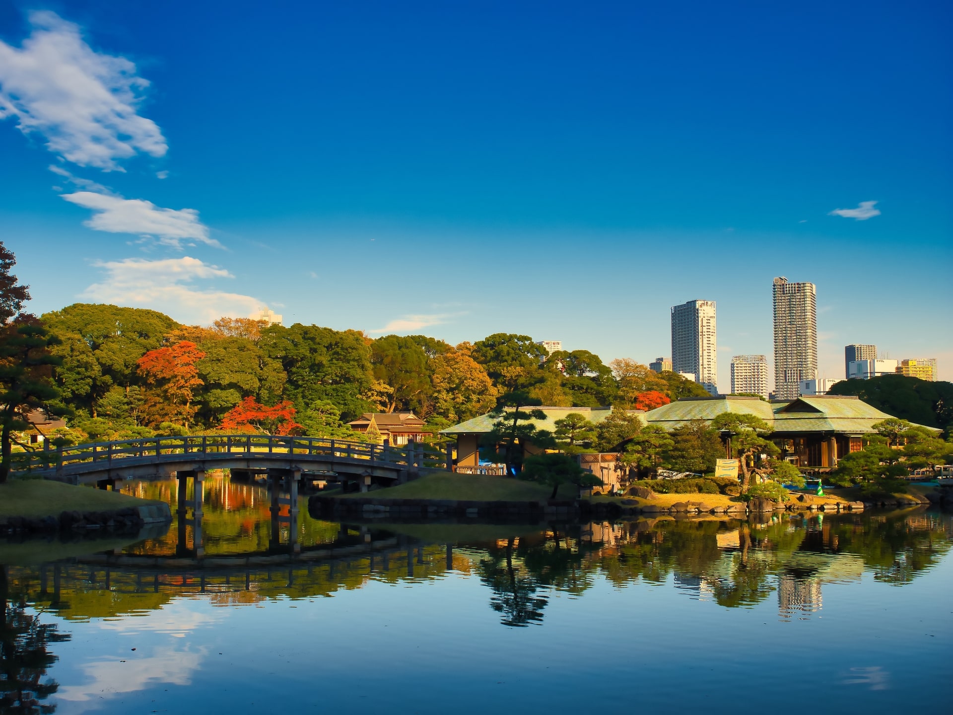 tourist spot in tokyo during autumn