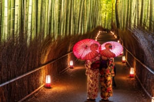 kyoto illumination hanatouro arashiyama