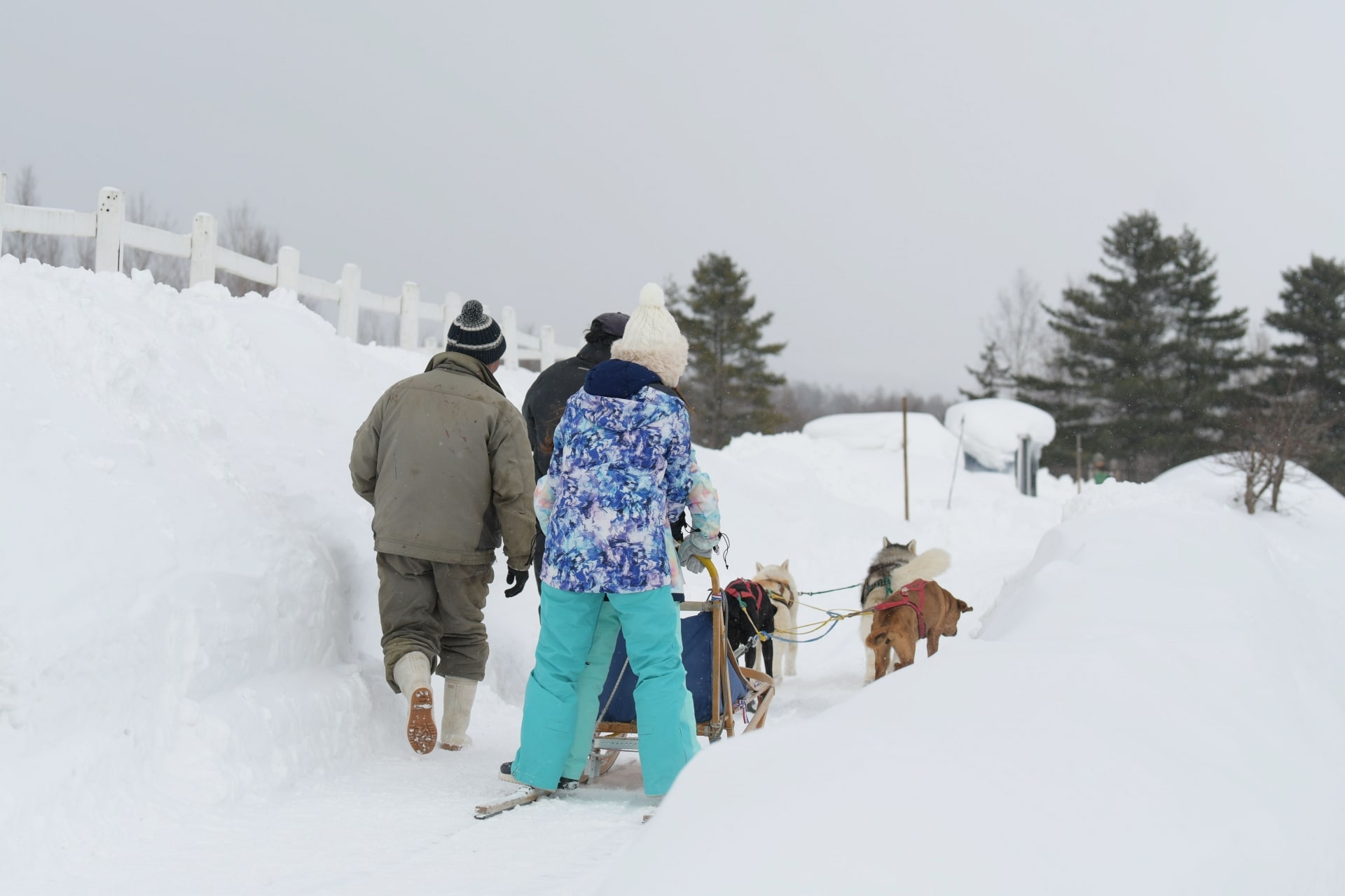 hokkaido december travel