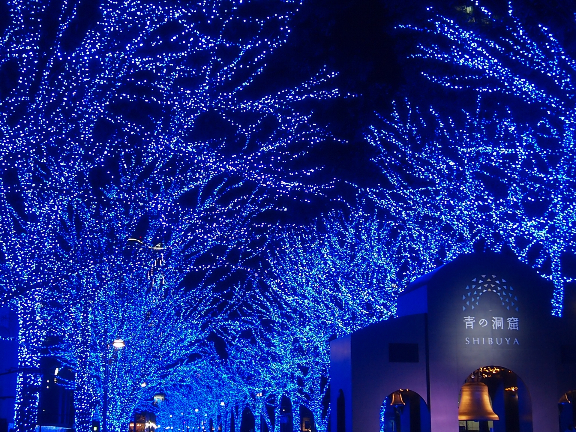 japanese christmas lights