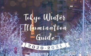 Tokyo Winter Illumination Guide