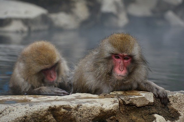 best time to visit nagano