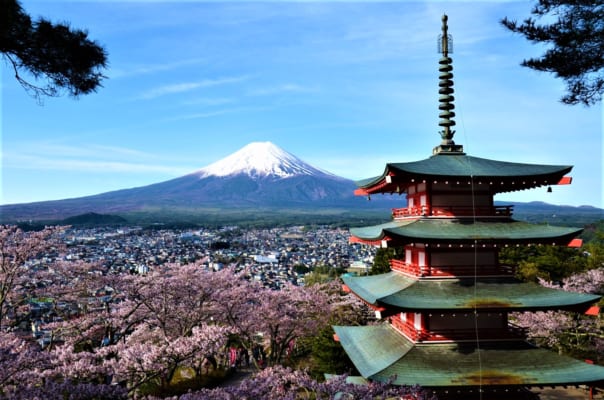 30 Best Things to Do in Tokyo 2022 - Japan Web Magazine