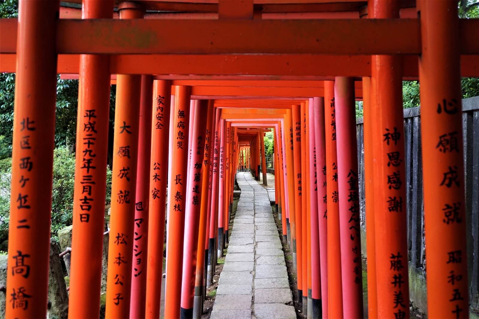 Shrine gates (torii) at Nezu Shrine