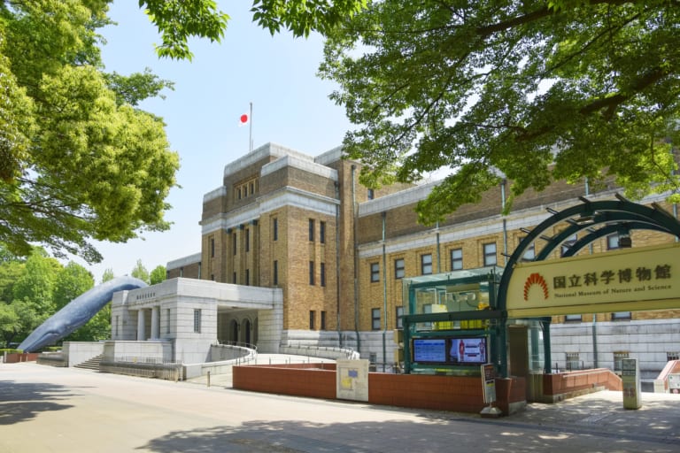 National Museum of Nature and Science: Meet the Dinosaurs in Tokyo!