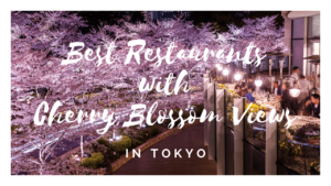 10 Best Cherry Blossom Viewing Restaurants in Tokyo