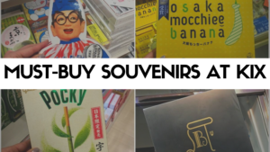 What to Buy at Kansai International Airport