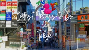 Cutest Things to Do in Tokyo