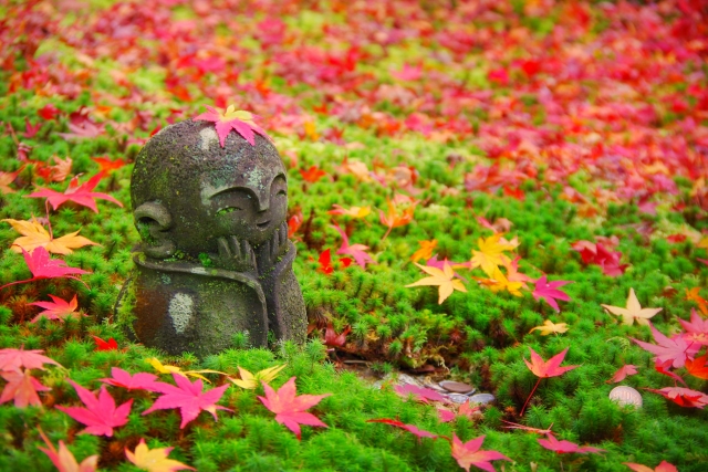 Autumn in Japan: 10 Best Things to Do in 2024