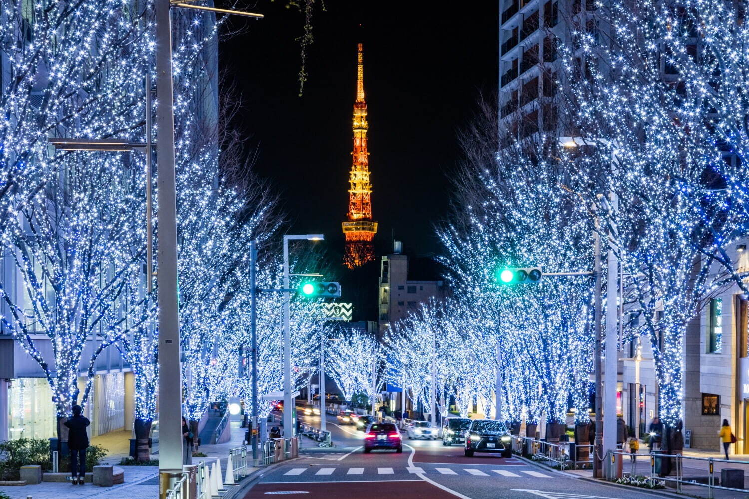 Roppongi Hills Winter Illumination 2024 - Japan Web Magazine