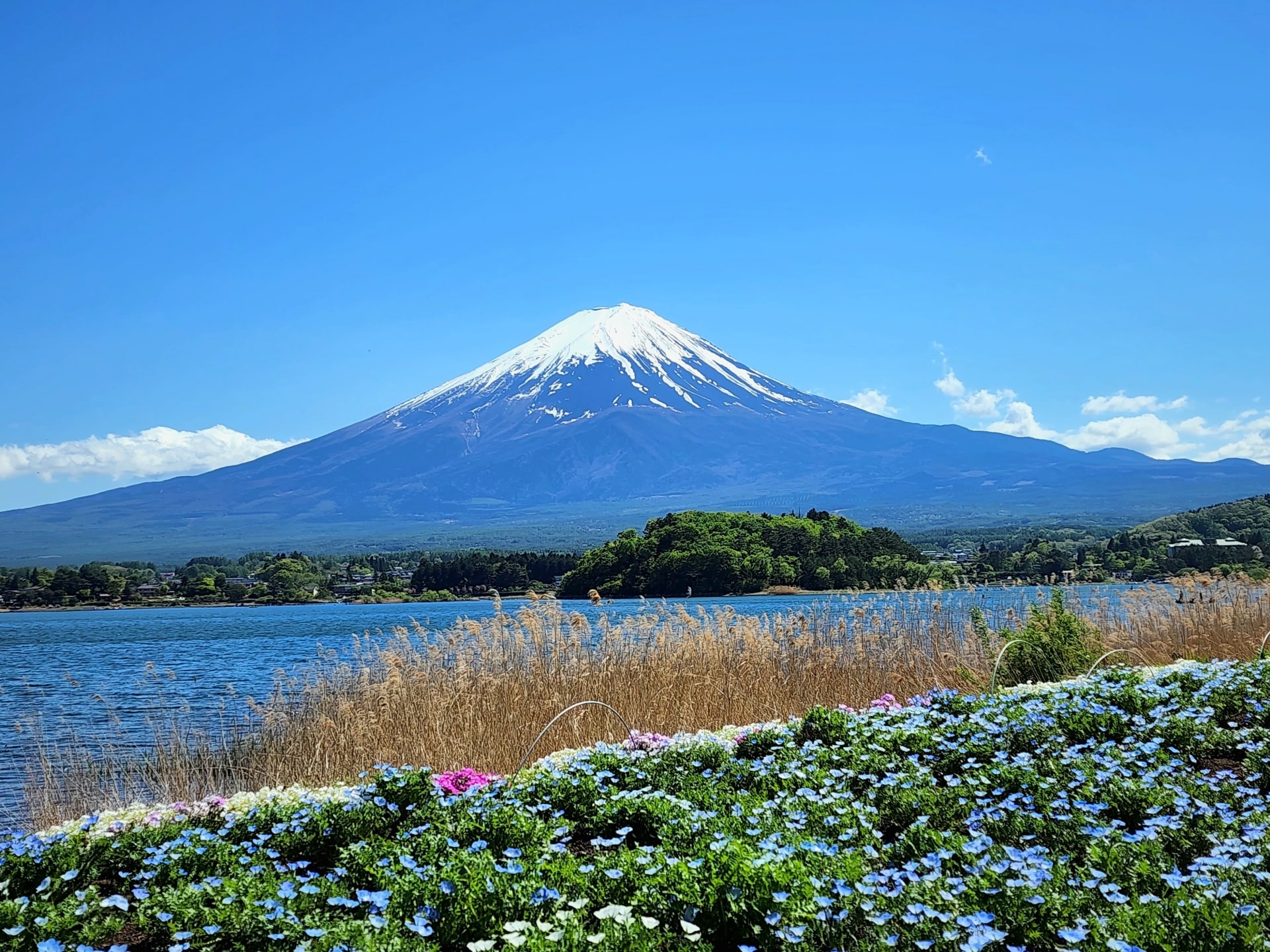top 5 day trips from tokyo