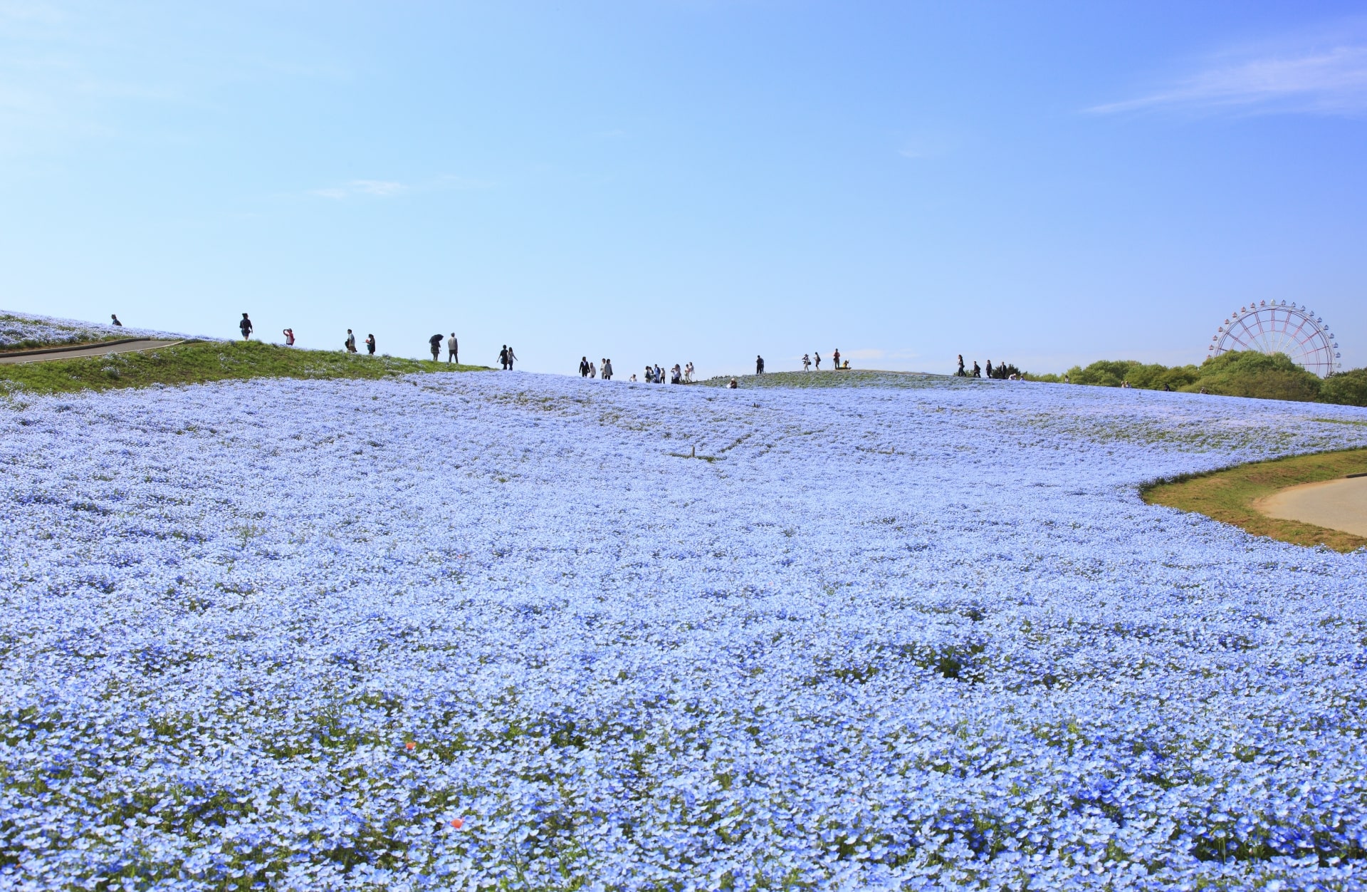 tokyo day trip spring