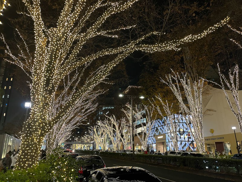 Omotesando Street Illumination