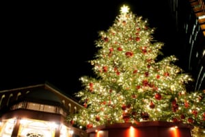 Best Christmas Events in Tokyo