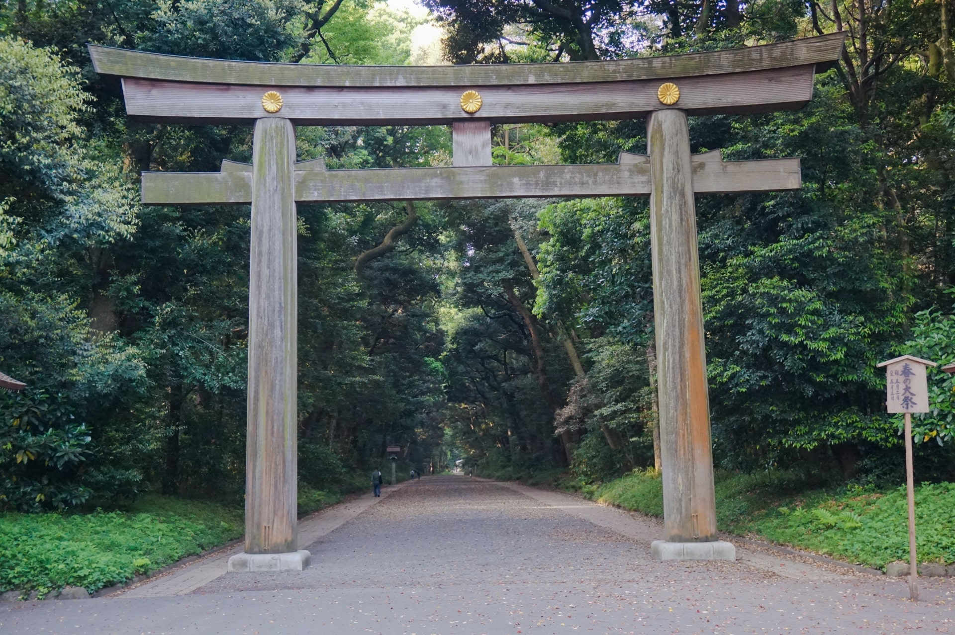 must visit temple in tokyo